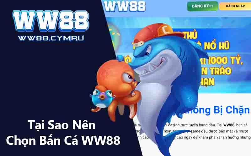 Tại Sao Nên Chọn Bắn Cá WW88?