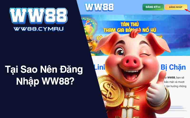 Tại Sao Nên Đăng Nhập WW88?